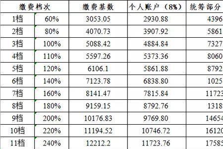 52岁自由职业怎样交社保合算