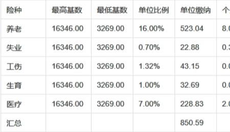 职工社保每月需交多少钱