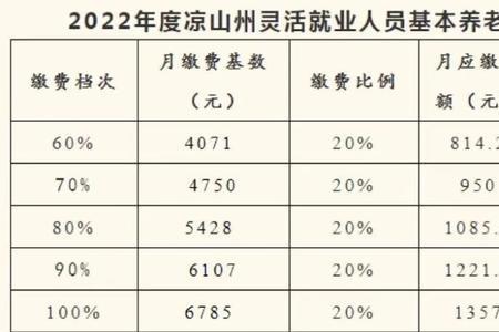 2022职工养老保险缴费标准