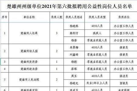 办理公益性岗位怎么查档案