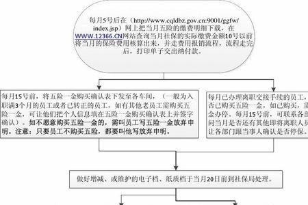 一年级上社保操作流程