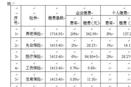 养老保险上交社保叫什么