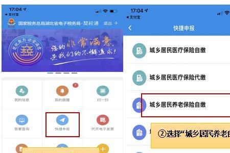 长春养老保险在网上怎么交