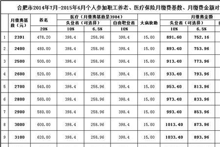 医疗保险个人一年交多少钱