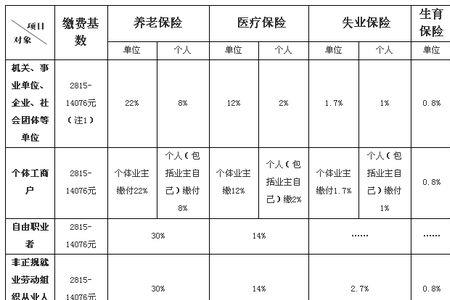 社保个人交515单位交多少