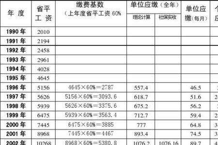 个人历年缴费基数是什么意思