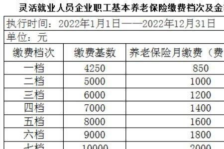 46周岁适合交灵活就业养老金吗