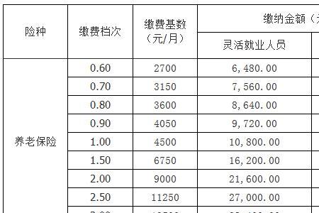 北京灵活就业100%缴费标准