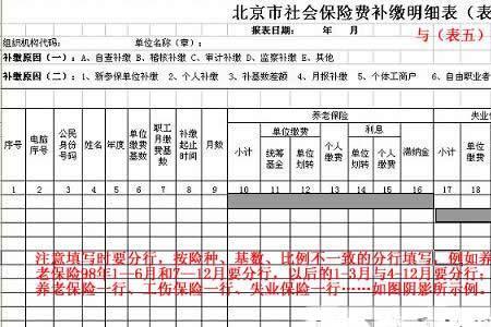 河南省社保可以一次补交吗