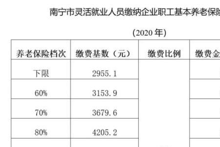 社会保险月缴费基数是什么意思