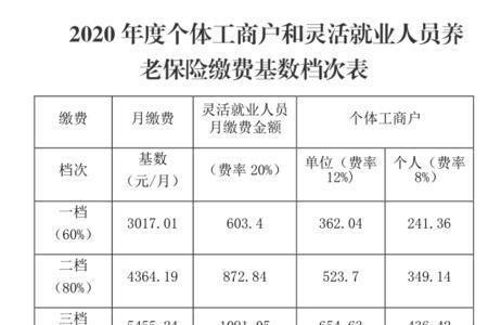 个体工商户社保缴费明细