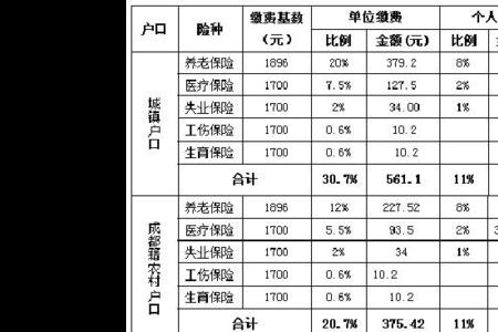 成都市社会保险增加表如何填写