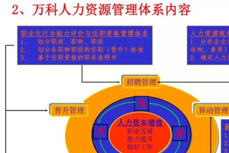 人力资源管理咨询包括什么内容