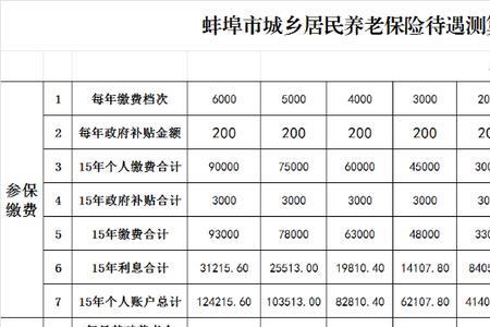 2022年武汉居民养老保险缴费标准