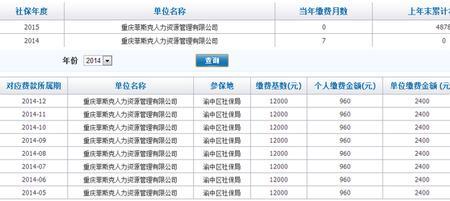 上年末个人账户储存额什么意思