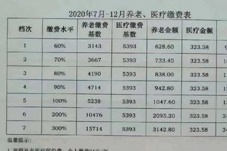 个体全额参保按多少缴纳合适