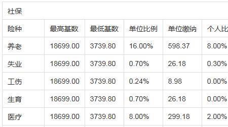 五险中哪个险最贵