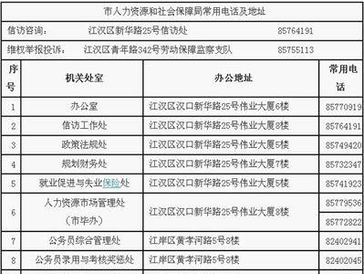 新疆社保局地址