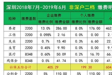 深圳社保只买养老可以吗