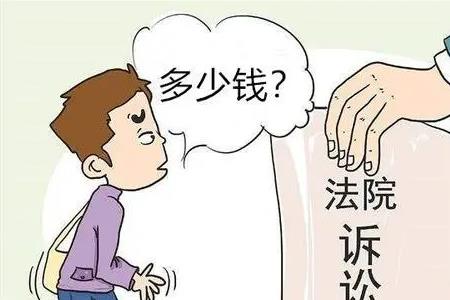 帮农民打官司的免费律师