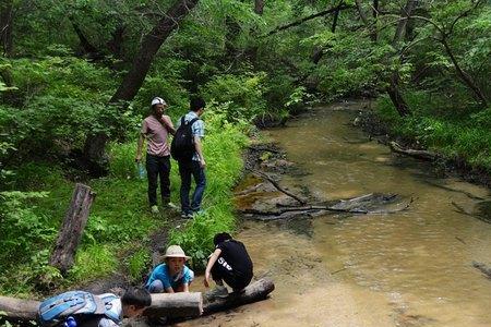 内蒙古自治区流浪乞讨管理办法