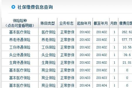 江苏22年社保缴费明细