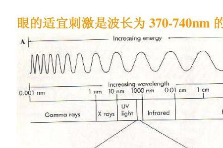 波长对应人的颜色视觉是什么