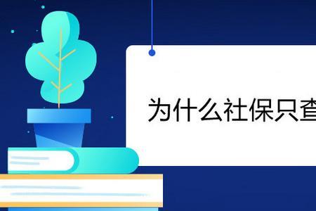 为什么社保查询功能正在建设中