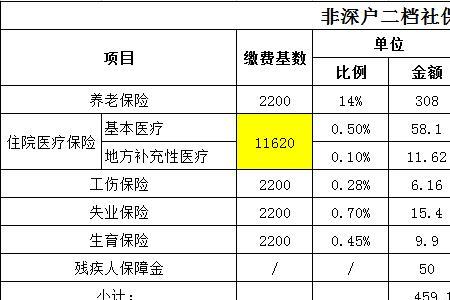 社保一年交8800是什么档