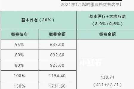 四川社保缴费380档次怎么交