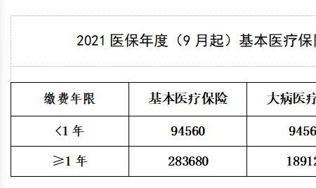 元保健康医疗保险缴费如何