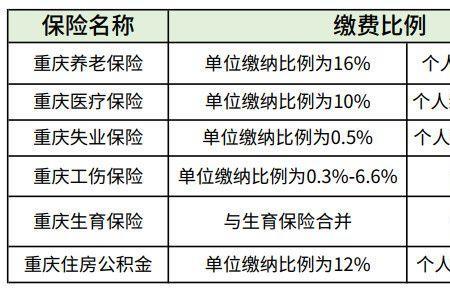 社保一年交7000包括什么