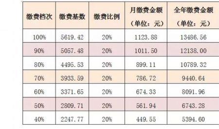 社保缴费基数5300元是什么标准