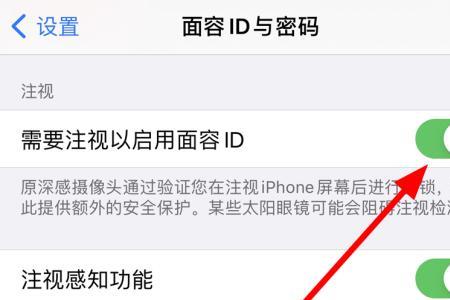 iphone面容录入不了