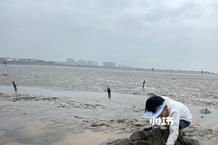 上海东海海边在什么地方