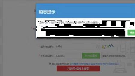 河南社保显示接口未授权咋回事