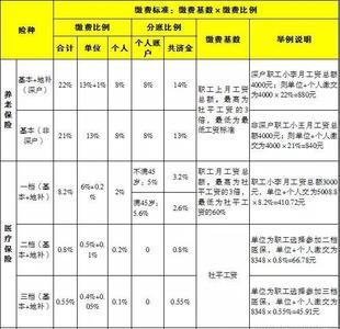 社保一年交两次的最迟多久交