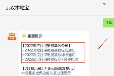 武汉电脑上怎么提交社保医保