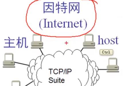 免费网络服务是什么