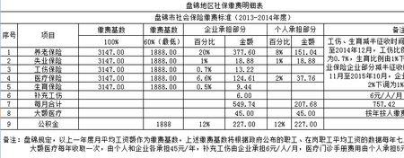 自费交社保12年划算吗