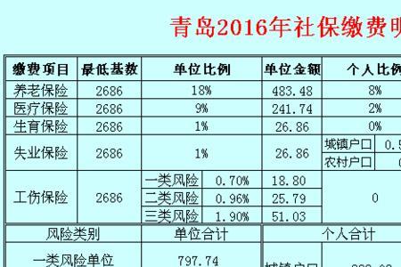 养老保险查询明细表