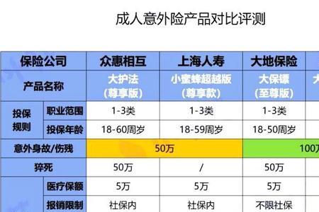 成人意外保险买什么公司的最好