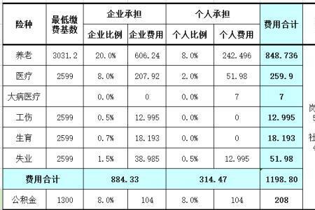 社保3380基数啥意思