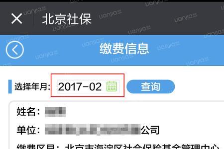 怎么在网上查询社保明细