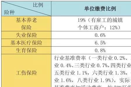 社保总额800怎么回事