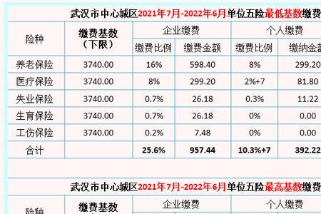 社保上年未累计总额是什么意思