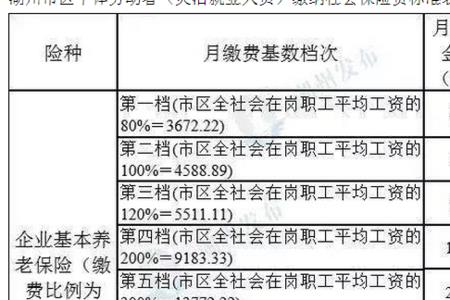 社保12%基数是多少