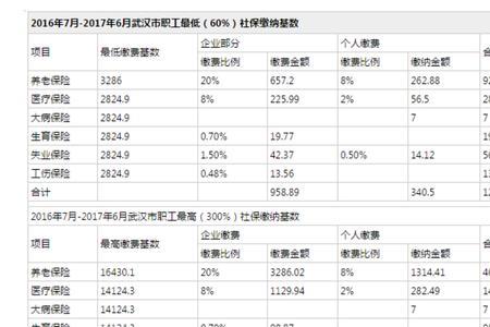 武汉自己交社保交哪个档划算