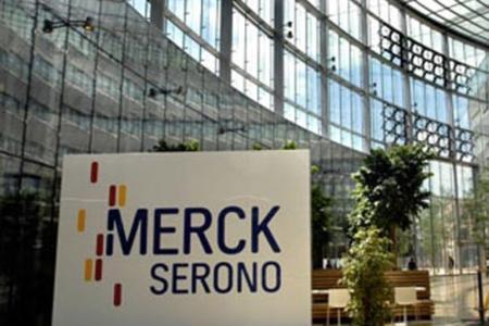 merck 上海公司好不好