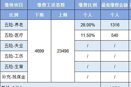 今年个人社保交多少